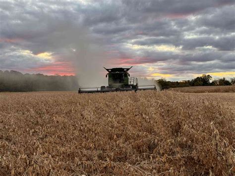 Louisiana Is the First and Only State to Complete 2023 Soybean Harvest ...