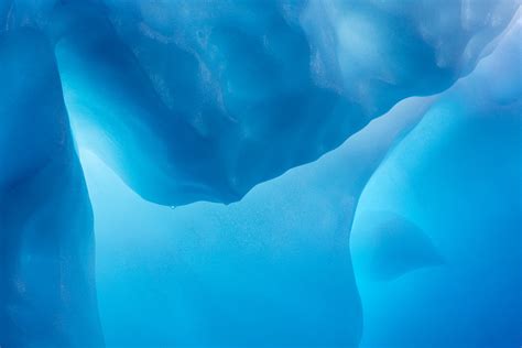 antarctica blue  behance