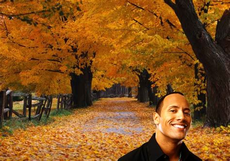 Dwayne Johnson Wallpapers The Rock Dwayne Johnson Wallpapers And