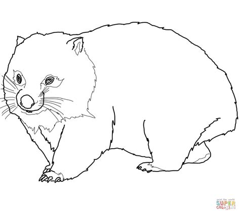 Wombat Coloring Online