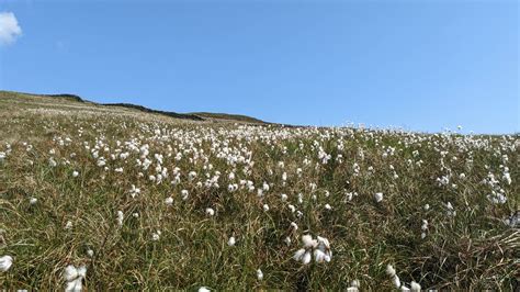 Mountains In The Geopark Mourne Gullion Strangford Unesco Global Geopark