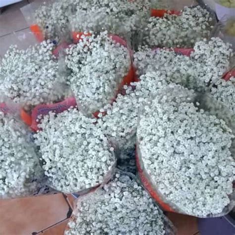 Jual Dekorasi Bucket Atau Karangan Bunga Bunga Impor Baby Breath Asli