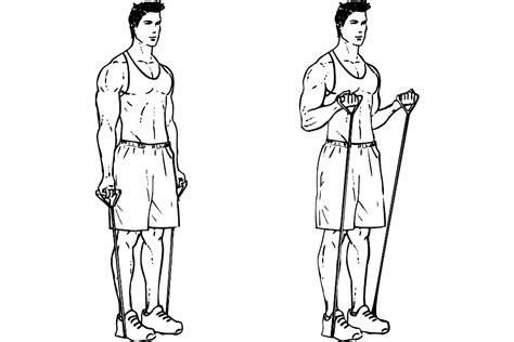 Free Workout Resistance Band Upper Body Smash · Workoutlabs Fit