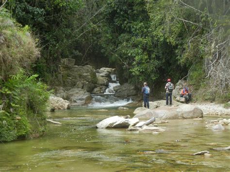 Espacio De Pesca Pesca De Sabaleta En Alejandria Antioquia Colombia