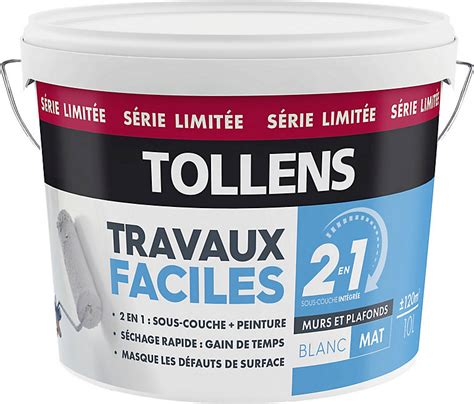 Peinture Murs Et Plafonds 2 En 1 Tollens Blanc Mat 10l Castorama