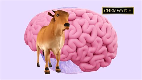 Mad Cow Disease Unmasked - Chemwatch