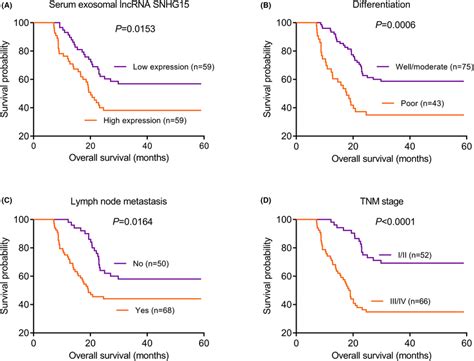 Kaplan‐meier Survival Curves Of Nsclc Patients A Patients With High Download Scientific