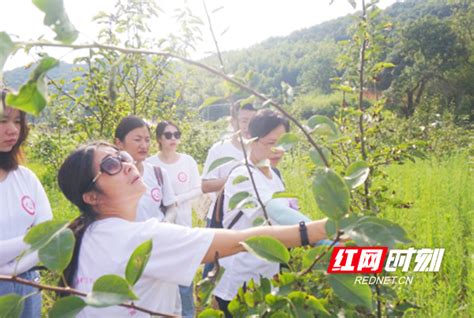 湖南环境生物职院开展“助力乡村振兴，关爱留守儿童”社会实践活动衡阳湖南频道红网