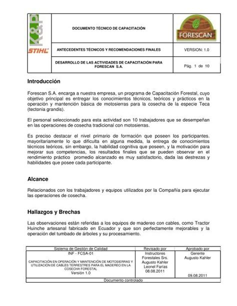 Masaccio Perspectiva Sexo Informe Gerencial Ejemplo Resumen Simpat A