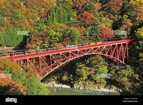 Kurobe Gorge And Kurobe Gorge Trolley Car In Autumn Leaves Stock Photo