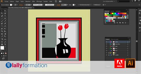 Apprendre Adobe Illustrator Cc En Ligne Lally Formation