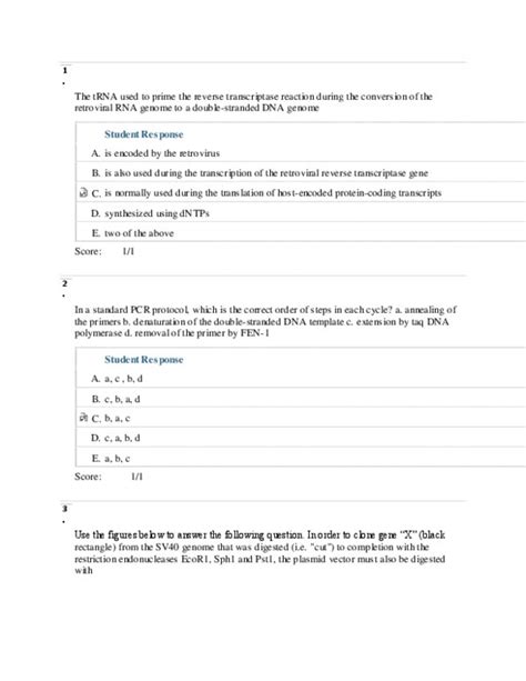 BIOL 200 Study Guide Fall 2012 Quiz Guanine Dna Replication Ribozyme