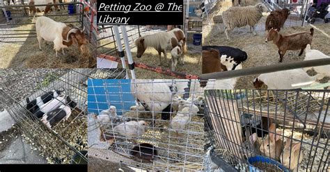 Petting Zoo Library Collage — Weasyl