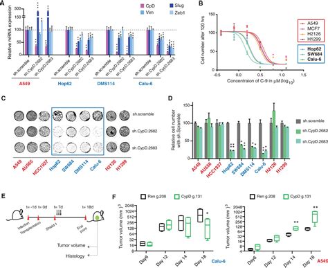 Figures And Data In TP53 Exon 6 Truncating Mutations Produce Separation