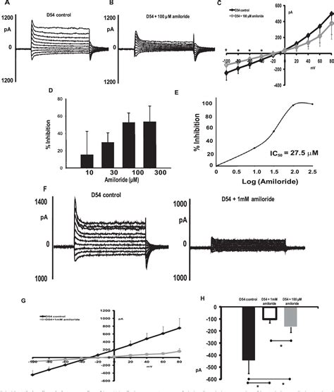 Figure 2 From Knockdown Of ASIC1 And Epithelial Sodium Channel Subunits