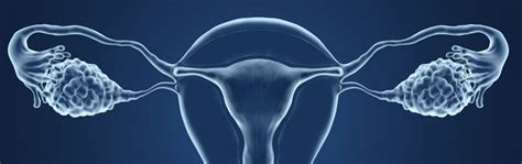 Fertility Sparing Surgeries For Gynecologic Cancer Physician