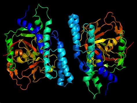 Talzenna (talazoparib) for the Treatment of Advanced Breast Cancer