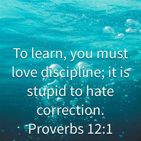 Proverbs 12 1 To Learn You Must Love Discipline It Is Stupid To Hate