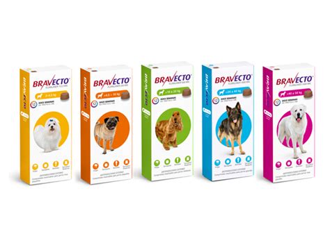 Bravecto® Productos Veterinarios Msd Salud Animal Argentina