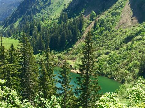 Visit Sisikon: 2024 Travel Guide for Sisikon, Uri | Expedia