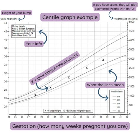 Big Babies Fundal Height Measurement And Third Trimester Growth Scans