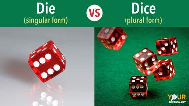 Die Definition & Meaning | YourDictionary