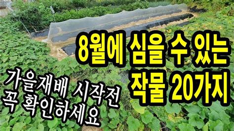 8월에 심을 수 있는 작물 20가지 가을재배 시작 전 꼭 확인하세요 과일나무 농업 전