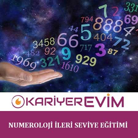 Numeroloji İleri Seviye Eğitimi Kariyer Evim