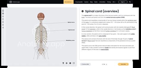 Home Anatomyapp Learn Anatomy 3d Models Articles And Quizzes