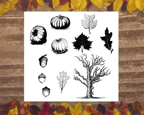 Vintage Fall Clipart | The Digital Download Shop