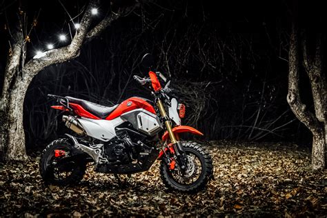 The Honda Grom Is An Honorary Supermoto — Dirt Legal Atelier Yuwaciaojp