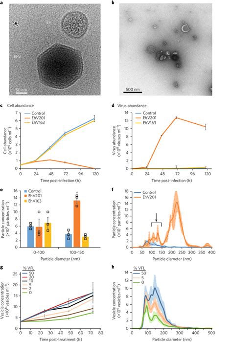 Evs Produced By E Huxleyi During Viral Infection And In Response To Download Scientific