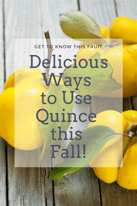 Amazing Quince Fruit Recipes You Should Try this Fall