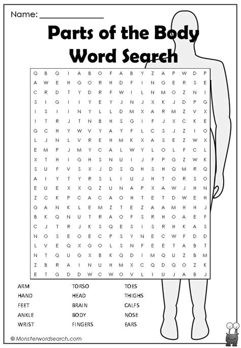 Parts Of The Body Word Search