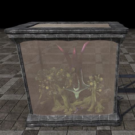 Online Fargrave Terrarium Lantern Flower The Unofficial Elder