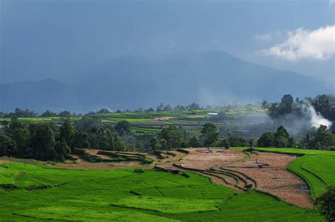 Padang Indonesia View Beautiful Paddy Fields The Backdrop Flickr