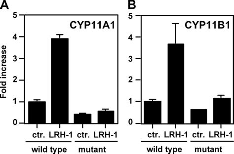 Mutation Of LRH 1 Response Element Inhibits LRH 1induced CYP11A1 And