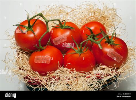 Tomates Ecológicos Con Etiquetas Fotografías E Imágenes De Alta