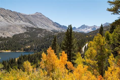 Fall In Love With June Lake Fall Colors - What, Where, When, & Why