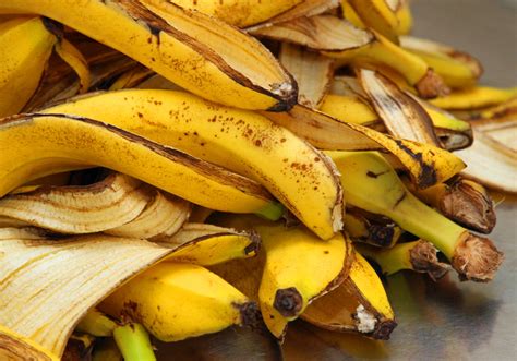 Ganz leicht selbst herstellen Dünger aus Bananenschalen