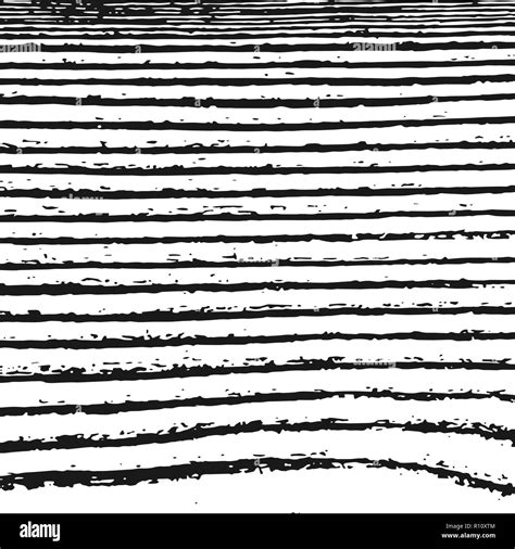 Black And White Zebra Texture Background Abstract Ripped Strips