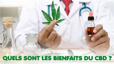 Quels Sont Les Bienfaits Du CBD Pourquoi Prendre Du CBD