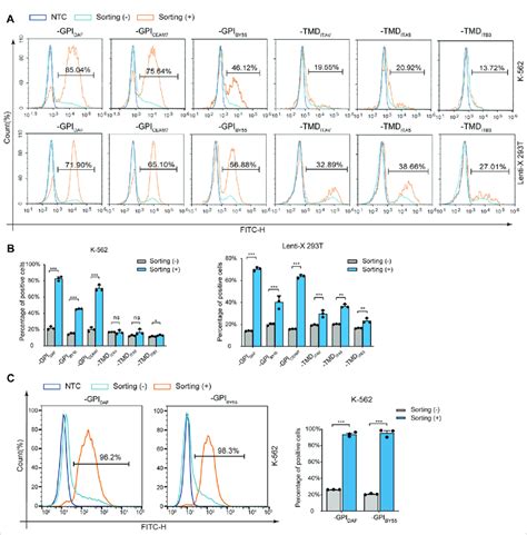 Positive Cell Enrichment Fold Assay With Flow Cytometry A