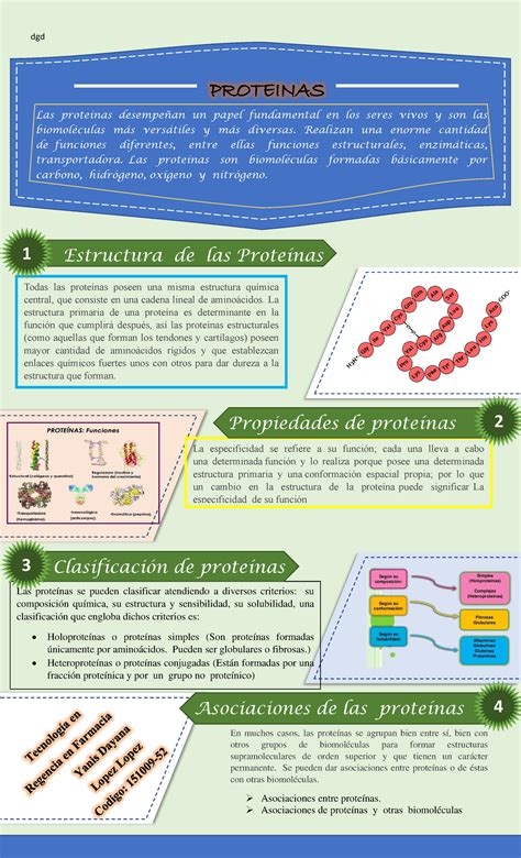 Infografia Proteinas Yanis Lopez dgd Todas las proteínas poseen una