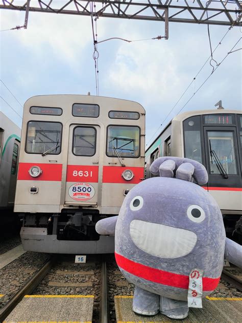 東急電鉄 公式＠のるるんと一緒 On Twitter 【のるるんからのお願い🙏】 駅構内（ホーム）で写真を撮る時はフラッシュを使用したり