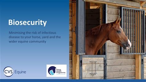 Biosecurity Minimising The Risk Of Equine Disease Youtube