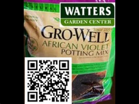 African Violet Potting Soil Mix Youtube