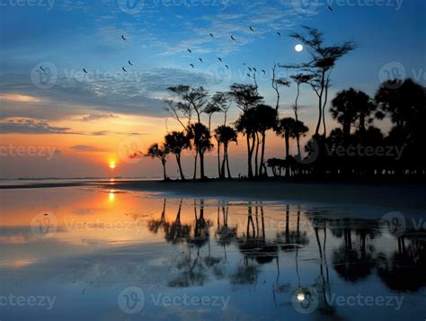 ocean sunset sun silence zen peaceful landscape freedom scene beautiful ...