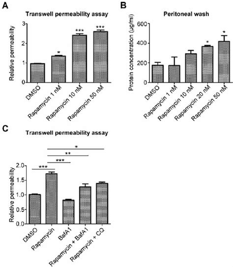 Rapamycin Induces Autophagy And Vascular Leakage A Hmec 1 Cells Download Scientific Diagram