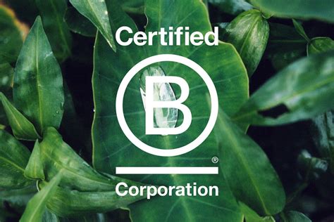 What Is The B Corp Certification Luxus Plus